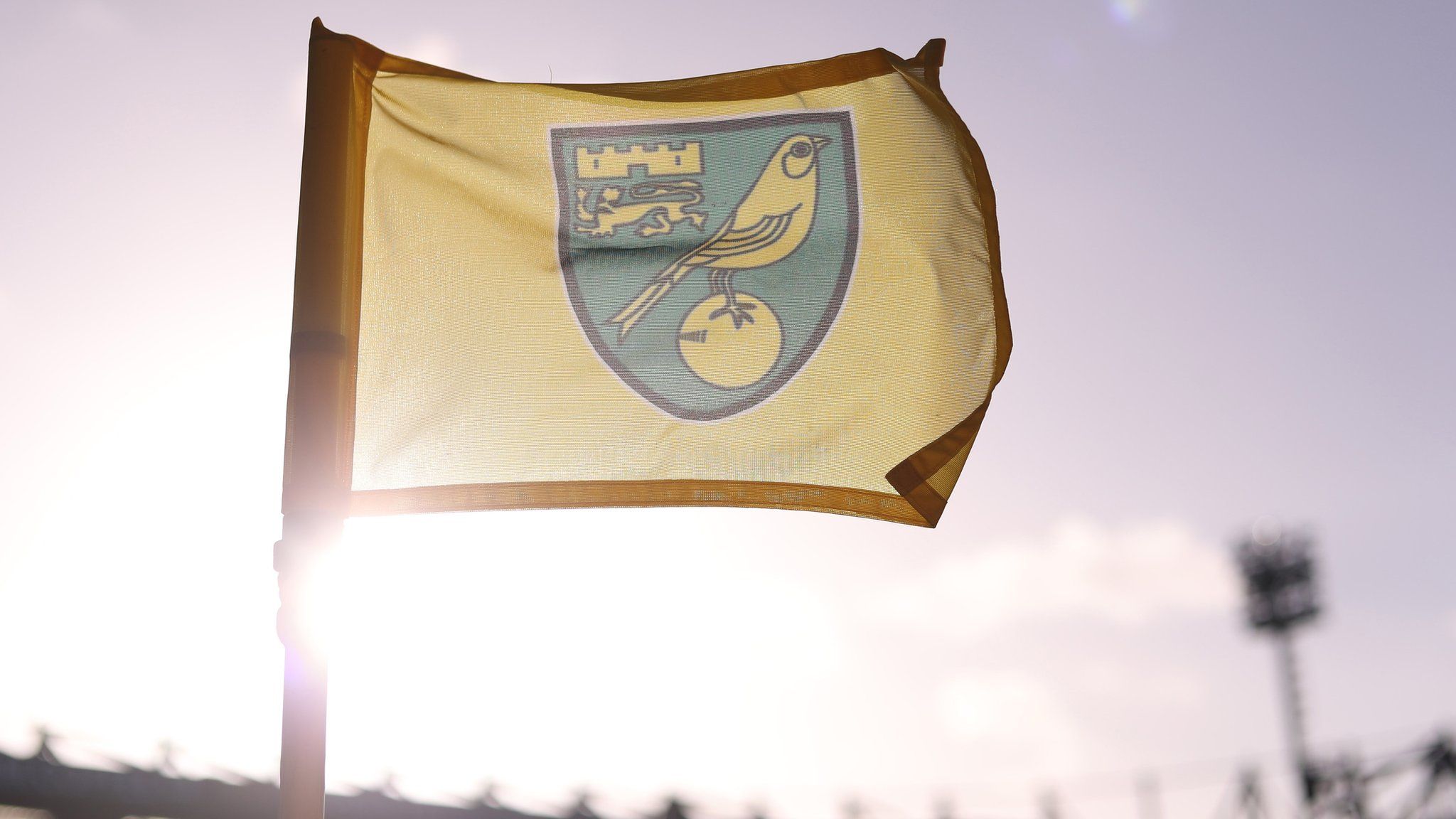 Norwich City corner flag