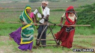 Indian farmers, Gujarat