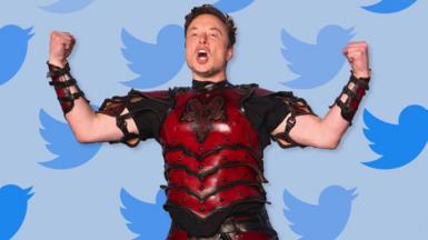musk with twitter logos