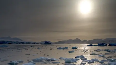 North Cove, Rothera Research Station. Pieces of ice floating on the ocean.