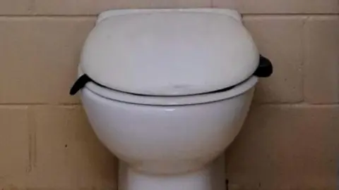 Snake hiding under a toilet lid
