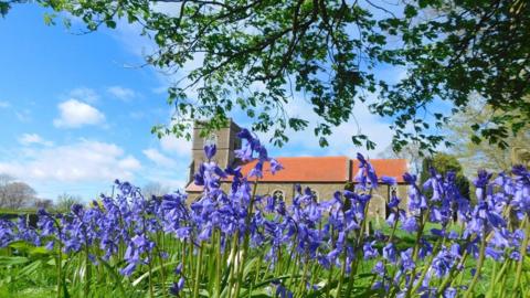 Bluebells in the foreground with a church behind and blue sky with clouds
