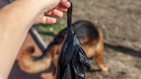 Dog mess bag