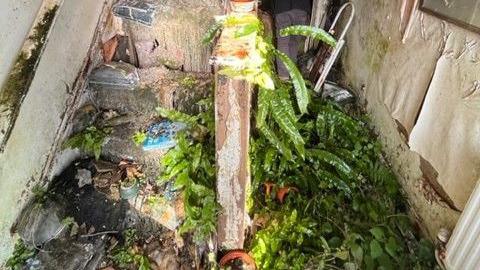 A staircase with rubbish and ferns growing alongside it