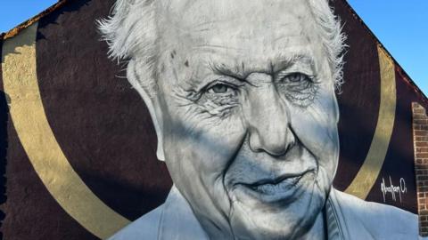 Sir David Attenborough mural, St Leonards