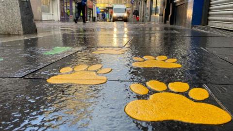 Paw prints trail in Inverness city centre