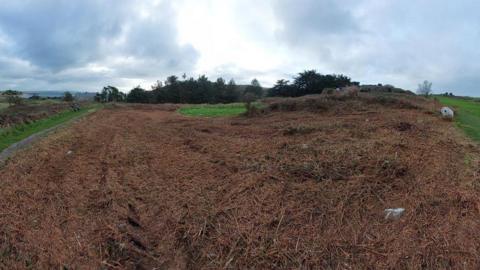 Trimmed land in Alderney in preparation for excavation