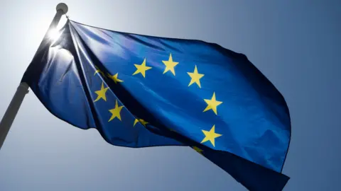 An EU flag flies from a flagpole