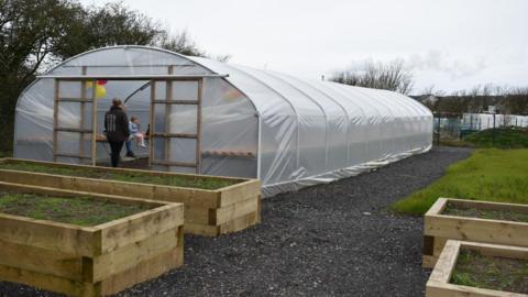 A general view of the community gardens, with raised beds and a polytunnel