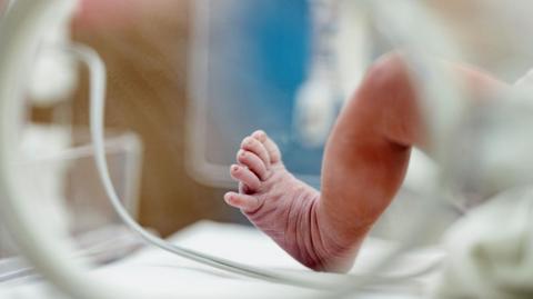 Generic image of a newborn baby foot in a hospital incubator