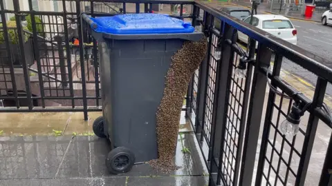 The insects arrived in a mass swarm at the 63rd+1st on Sunday morning and gradually settled on a railing outside.