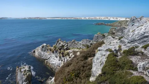 View of rock formations at Gypsy Cove near Port Stanley, Falkland Islands