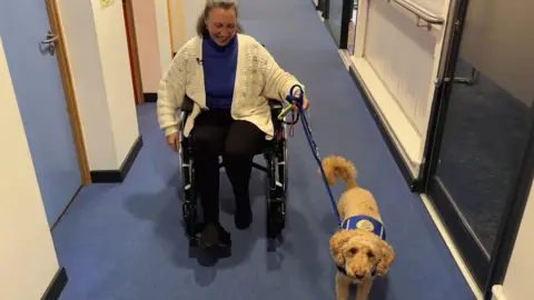Meet school teacher, Diana and her Support Dog, Teddy, who helps with a host of tasks. Including opening doors, pushing lift buttons and dragging boxes of musical instruments.