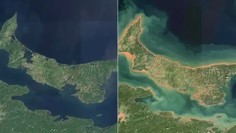 The space agency released a comparison image of PEI and the Northumberland Strait, taken in August and on 25 September
