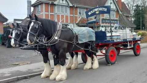 Wadworth shire horses Sam and George pulling a cart