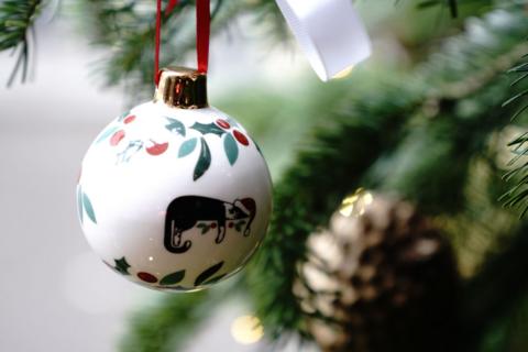 Image of a zoomed in Christmas with a bauble hanging from a branch with mistletoe on it