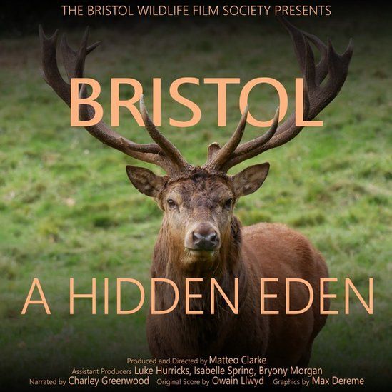 A promotional cover for A Hidden Eden
