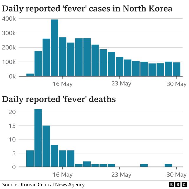 Official deaths and cases in NK