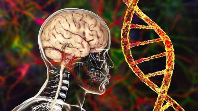 Рисунок мозга на фоне сильно увеличенной двойной спирали ДНК