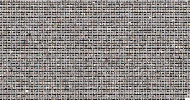 Этот коллаж сделан из 2884 фотографий задержанных
