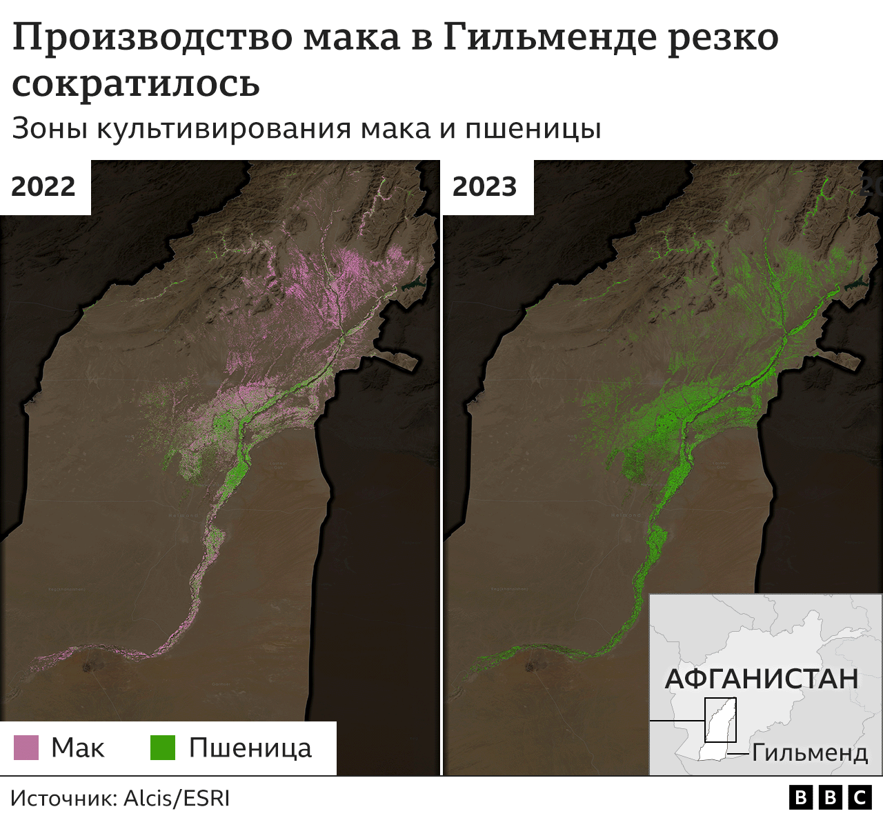 Графика: культивирование мака в Гильменде прекратилось - показаны два спутниковых снимка провинции (2022 и 2023 гг.), демонстрирующие спад в выращивании мака.