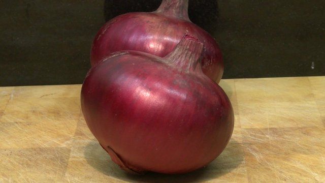A red onion, which apparently does not cause people to cry when chopped.