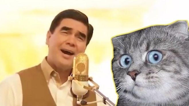 Президент Туркменистана и кот