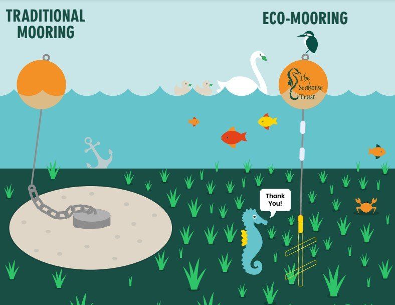 Diagram showing difference between traditional and eco-mooring