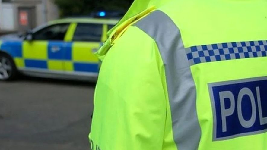 Police officer with his back to camera, facing a police car