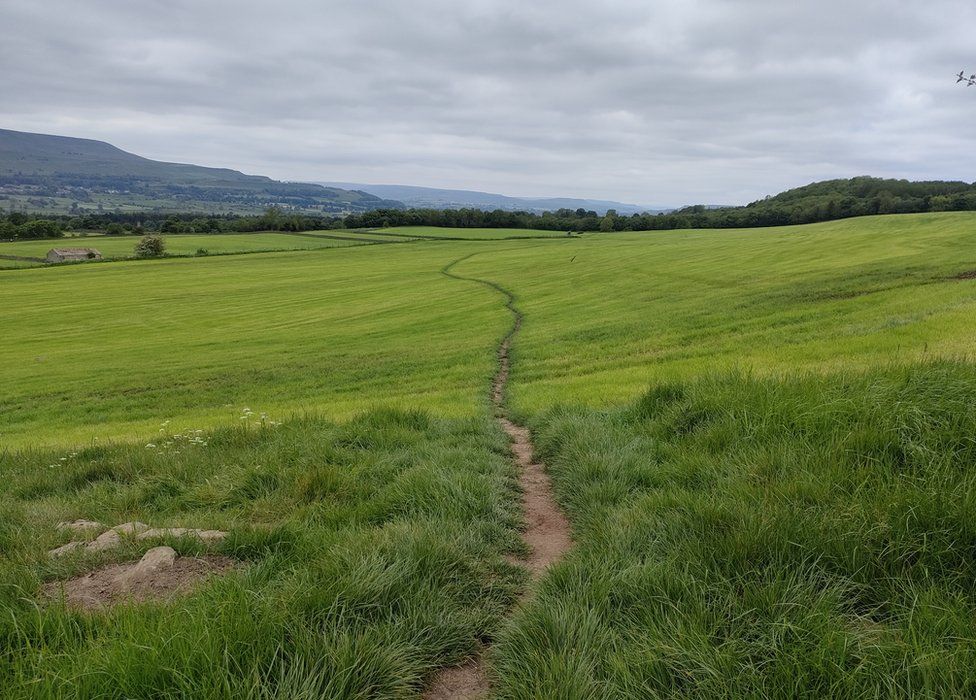 A path through a field in Preston-under-Scar in North Yorkshire