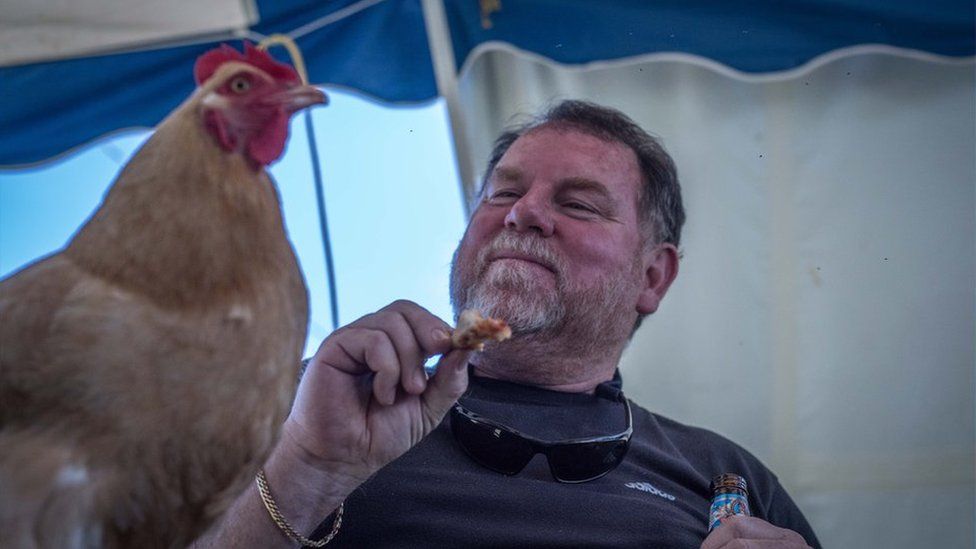 Feeding a chicken.