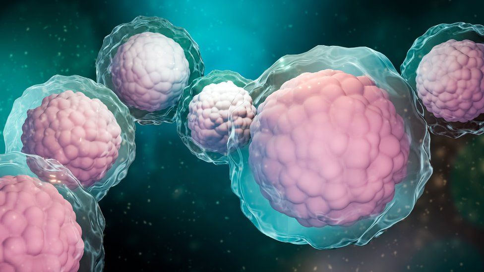 Group of stem cells with membrane and nucleus close-up on a blue green background