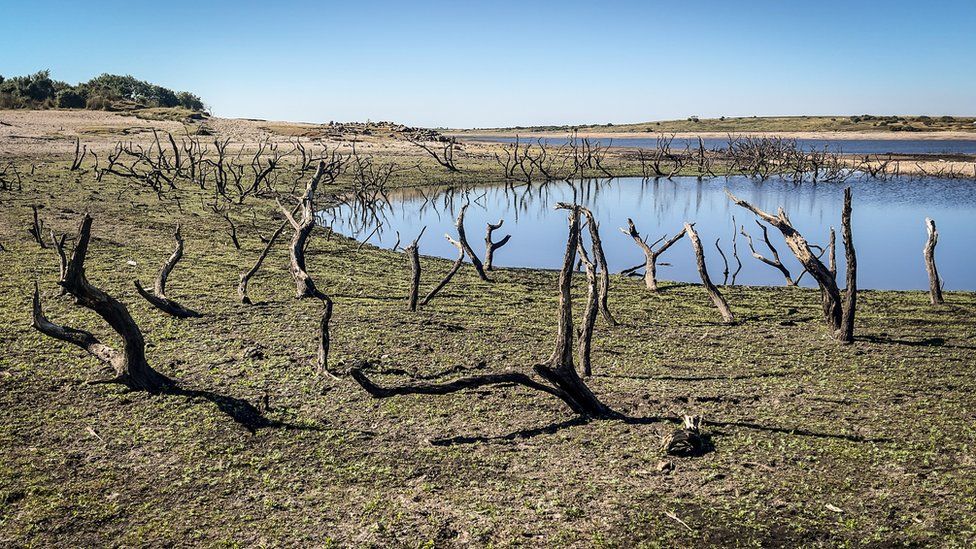 Low water levels at Colliford Lake near Bodmin