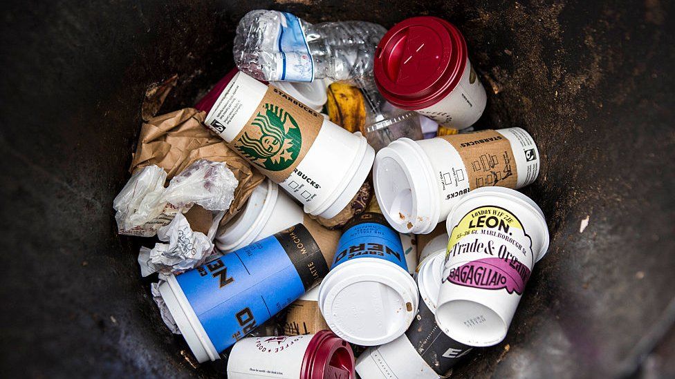Single-use coffee cups in a bin