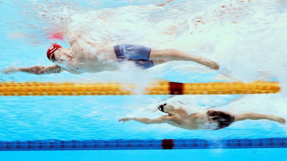 Two men swimming in separate swimming lanes seen from under the water