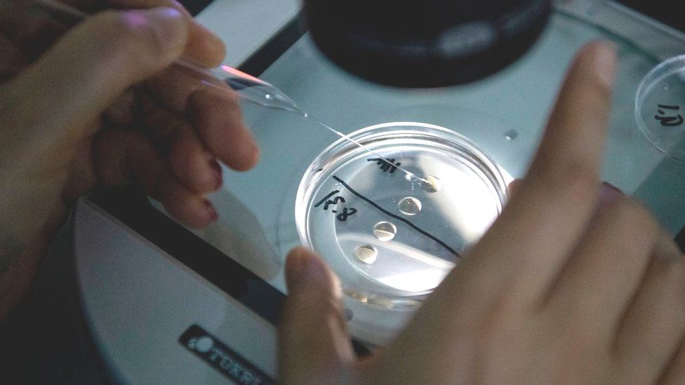 Genetic material being checked at a cloning facility in China