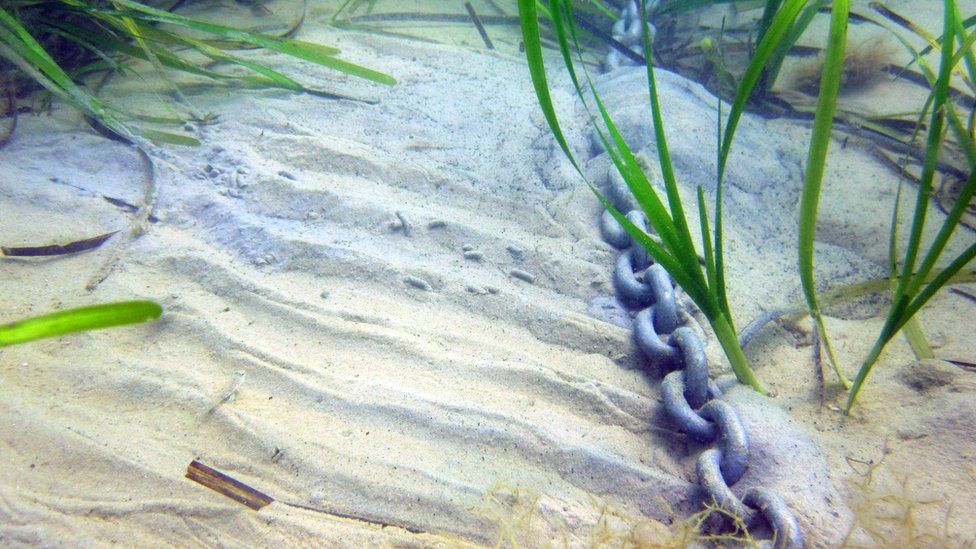 Chain on seabed