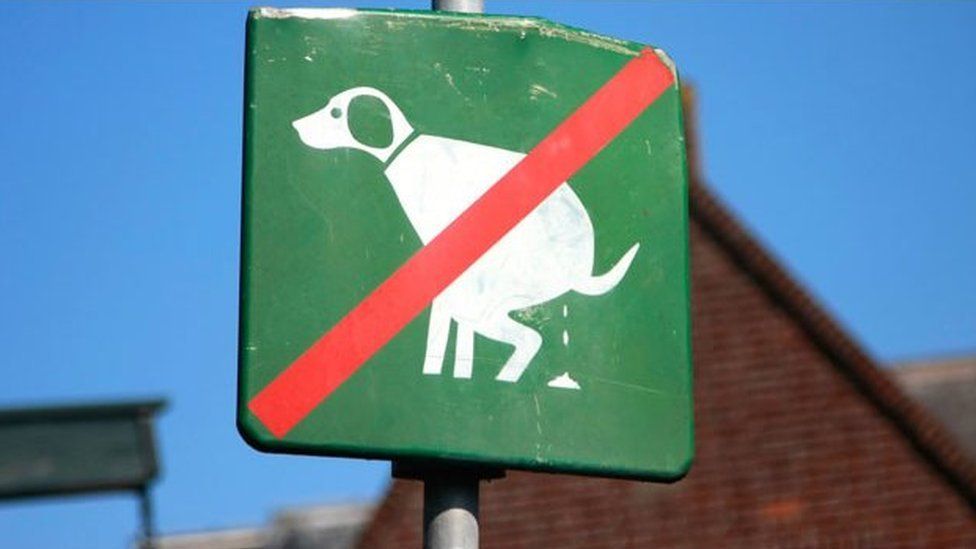"No dog poo" sign