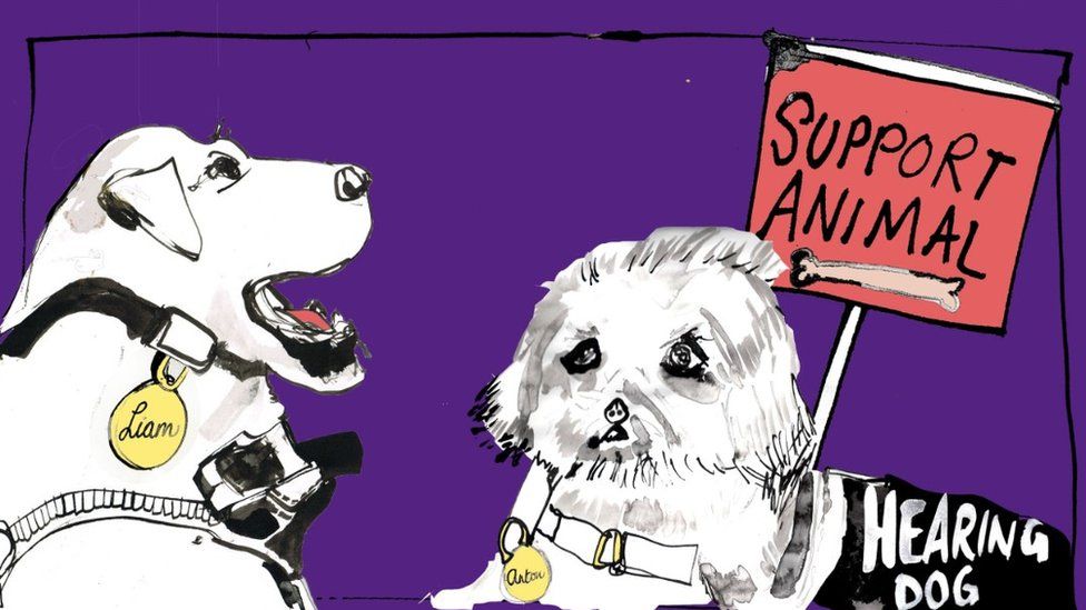 An illustration of two support dogs - one guide and one hearing dog
