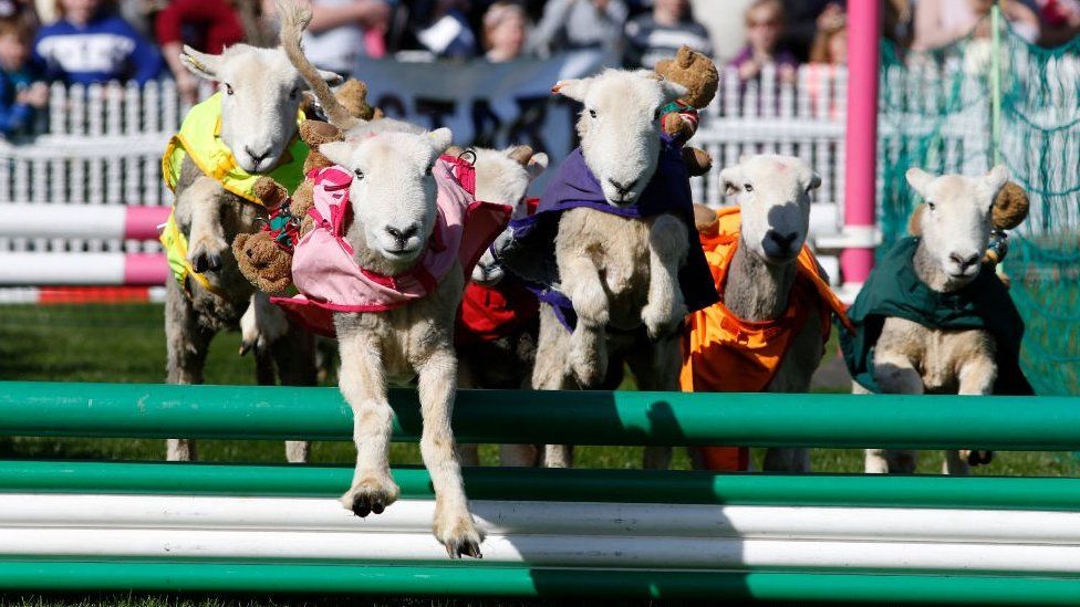 The Lamb National at Ascot Racecourse in 2017