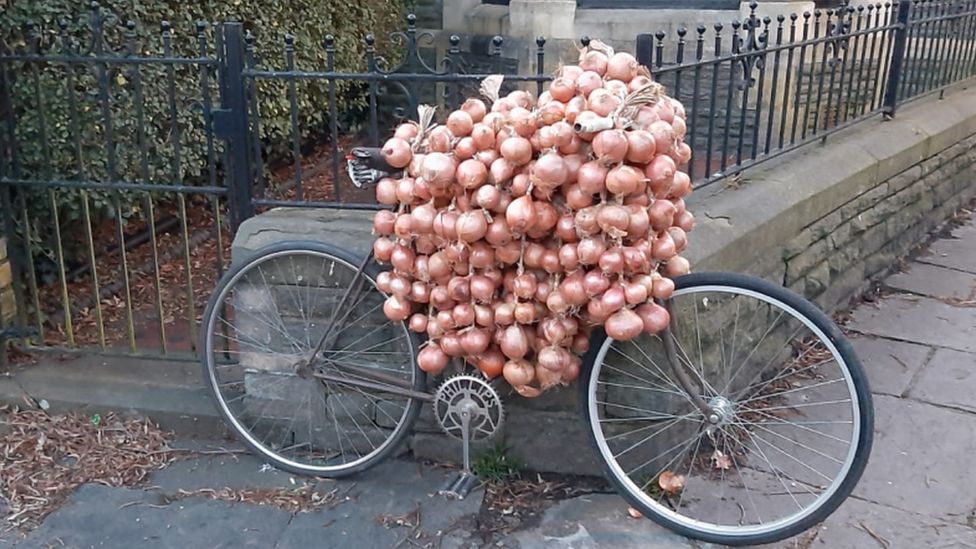 Onions on a bike