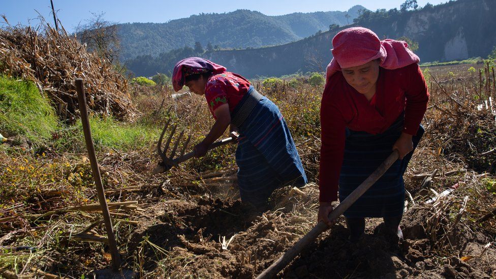 María de la Cruz López Vásquez and her daughter plough the corn fields they have worked for decades in Cajolá, Guatemala