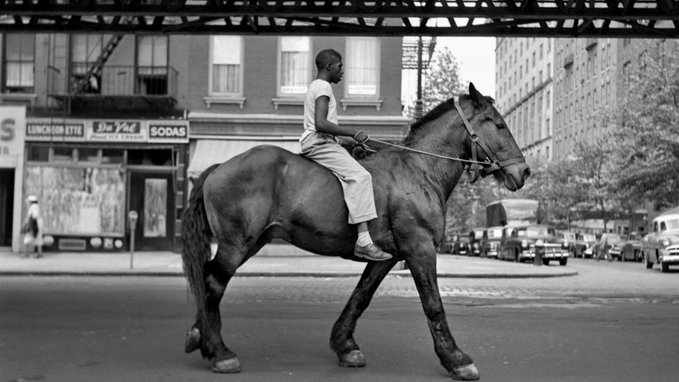 Photo of person on a horse taken by Vivian Maier in New York in 1953