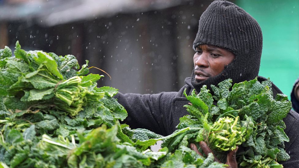 A vegetable vendor in Cape Town, South Africa - Monday 8 April 2024