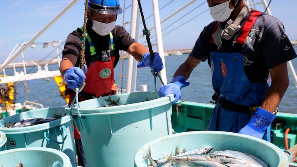 Fishery workers unload seafood caught in offshore trawl fishing at Matsukawaura port in Soma City, Fukushima prefecture on 1 September, 2023.