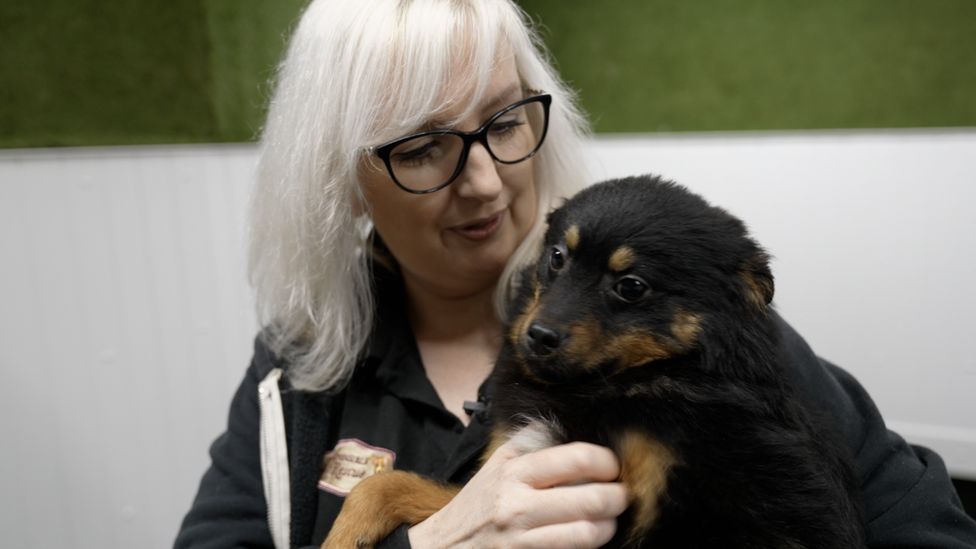 Rachael O'Regan runs a dog rescue firm