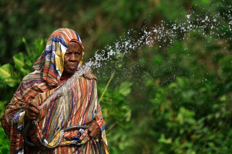 Mona Omar checks waters plants at her flower nursery in the al-Jarif suburb of Sudan's capital Khartoum.