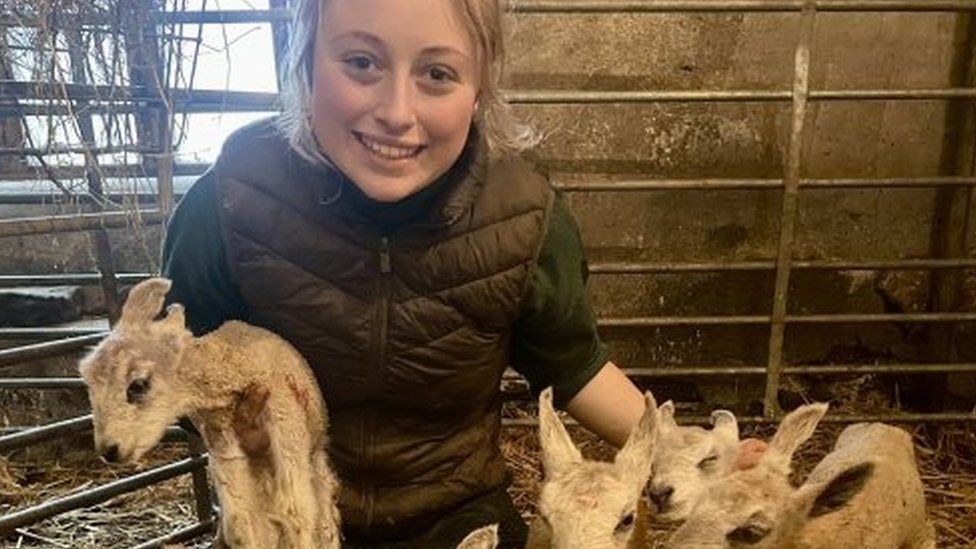 Erin holding the lambs
