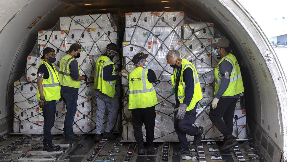 Workers unload flowers from a plane at Miami International Airport on February 08, 2022