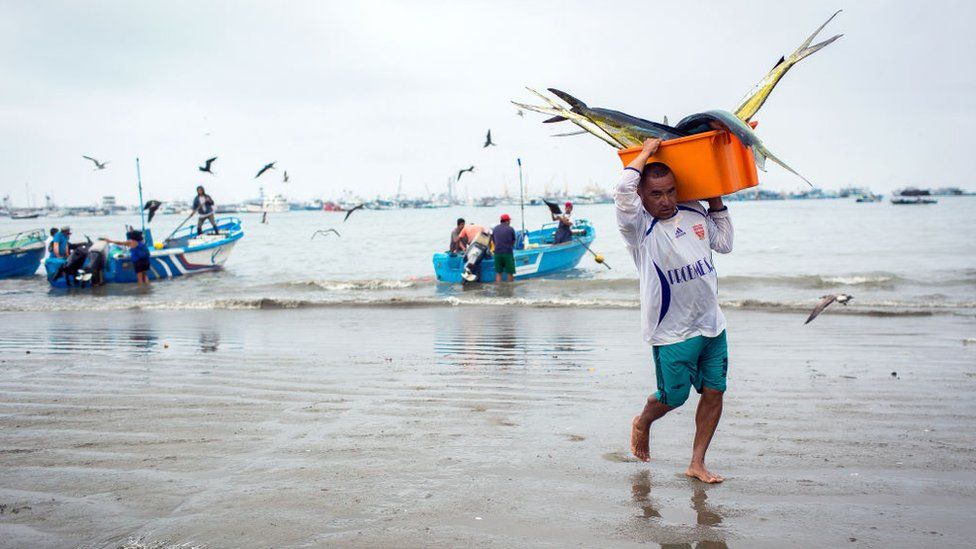 A fisherman carries freshly caught tuna at La Poza beach in Manta, Ecuador's largest seaport